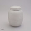 Ceramic Urn Bise 2l Raw AD
